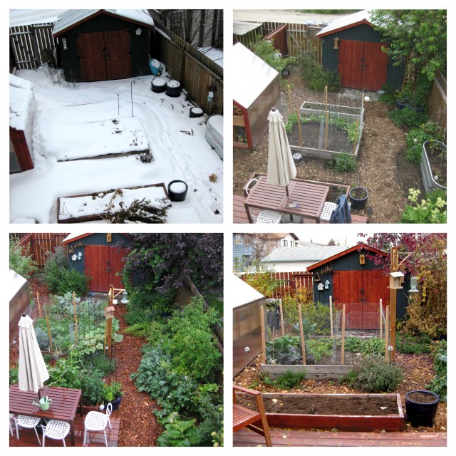 Processed with Moldiv