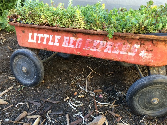 Vintage Little Red Express Wagon